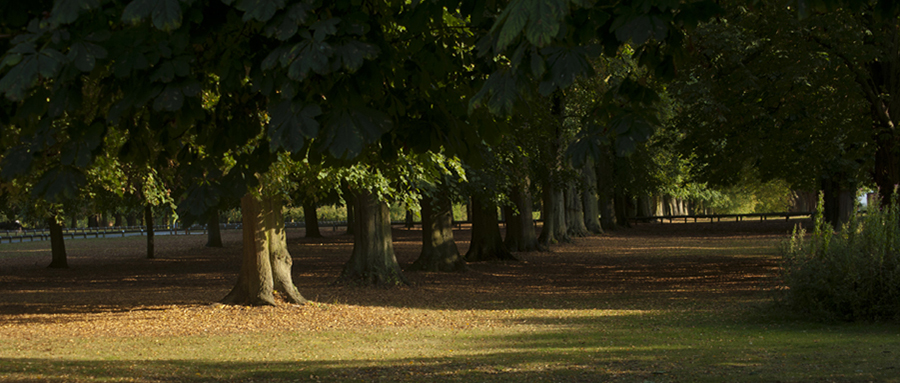 London Park